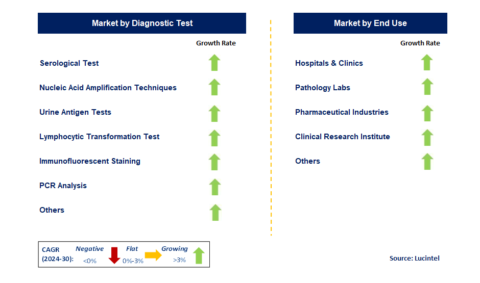 Lyme Disease Diagnostic by Segment